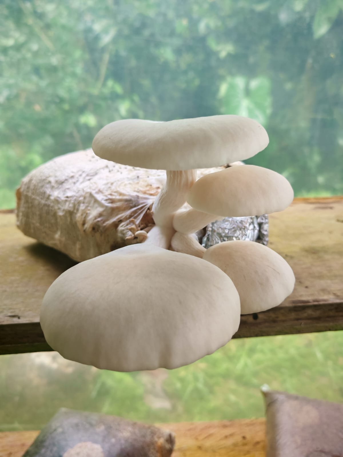 whatsapp image 2026 02 18 at 1.38.09 pm