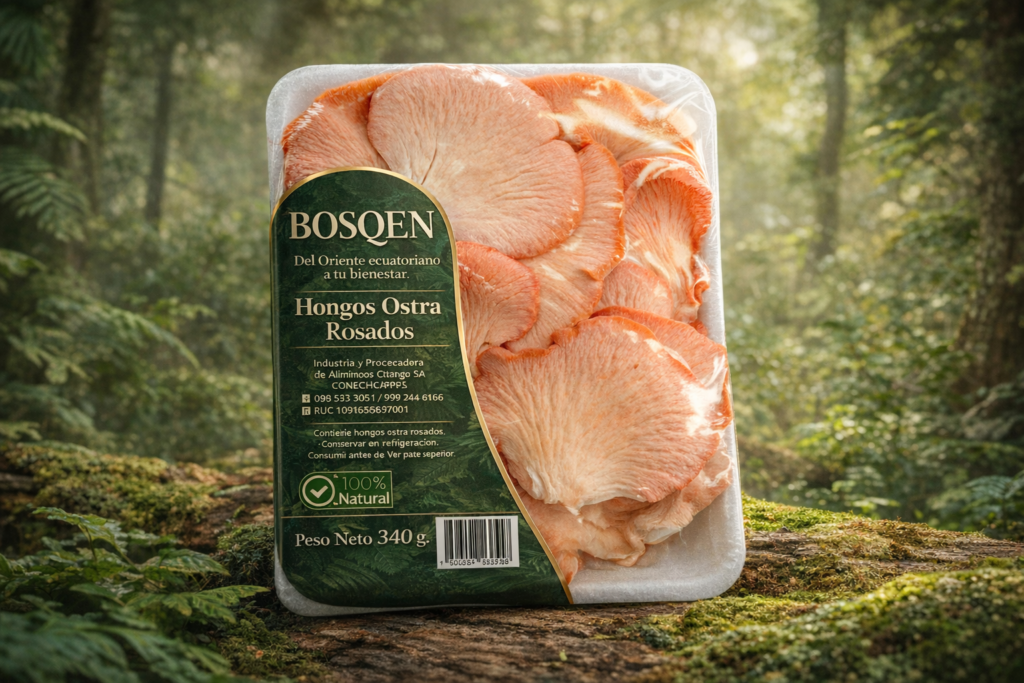 calathea beauty star