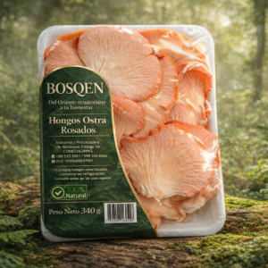 calathea beauty star