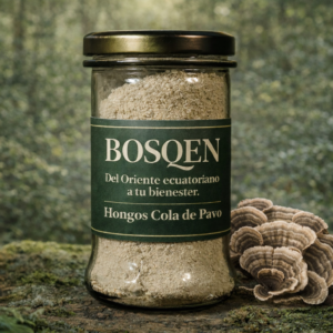 calathea beauty star