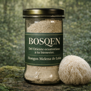 calathea beauty star