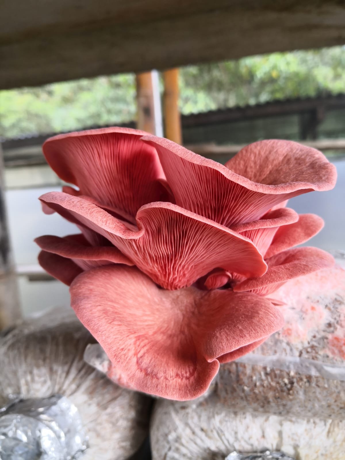 whatsapp image 2026 02 18 at 1.38.03 pm (1)