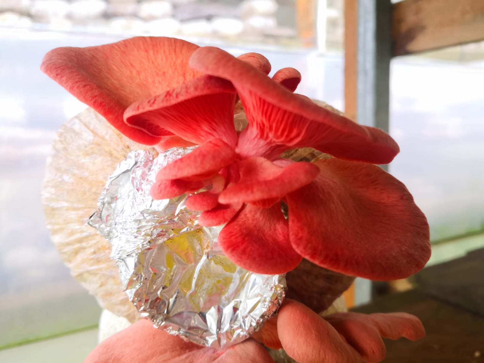 whatsapp image 2026 02 18 at 1.38.03 pm